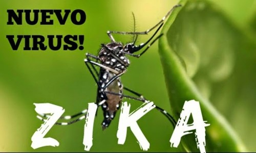 Dấu hiệu và cách phòng tránh bệnh virus ZIKA
